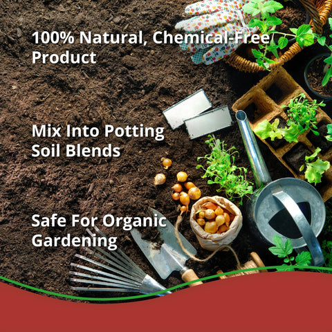Outdoor garden gains improved structure with Char Bliss in beds.