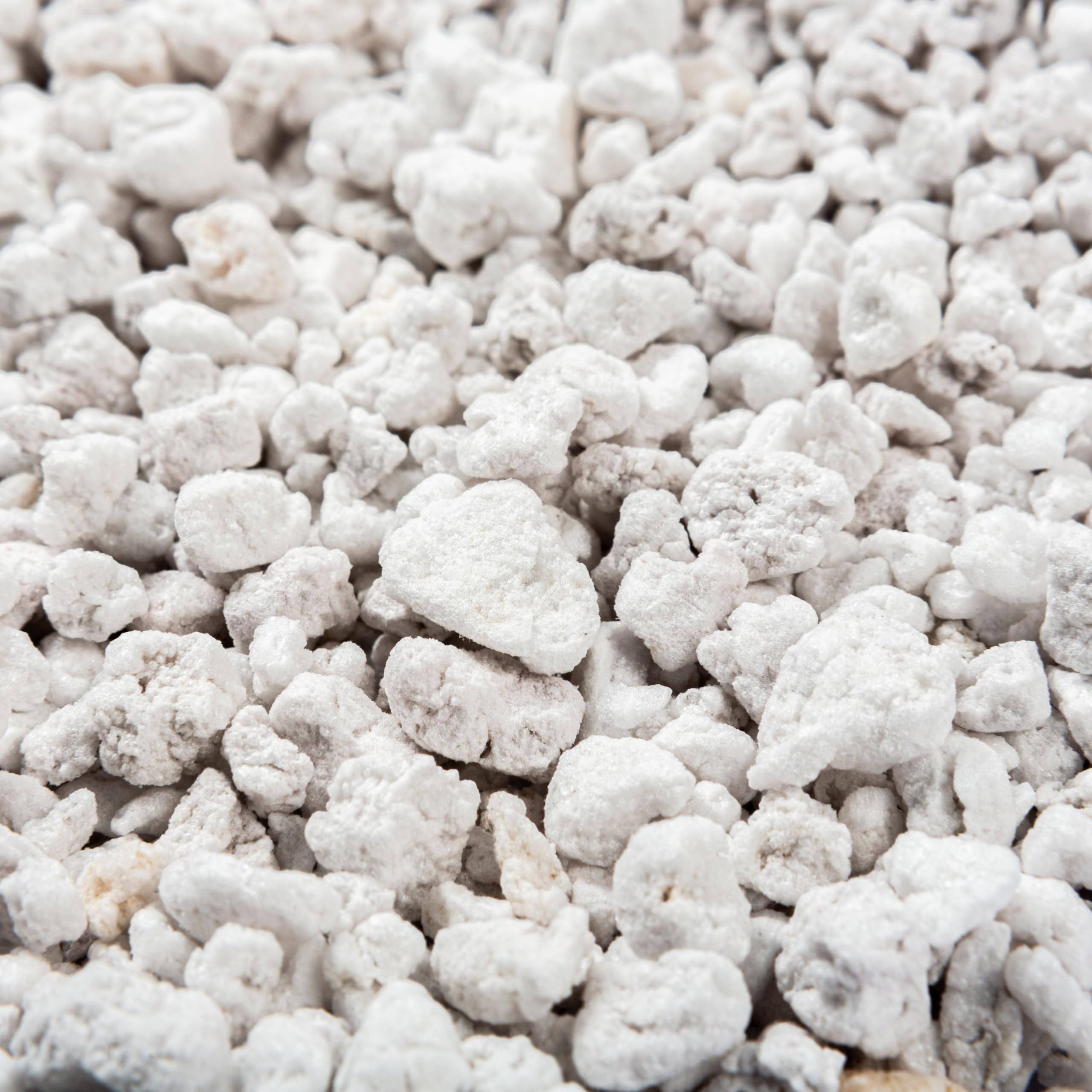 Bulk Perlite Bliss ready for bulk gardening orders and planting projects.