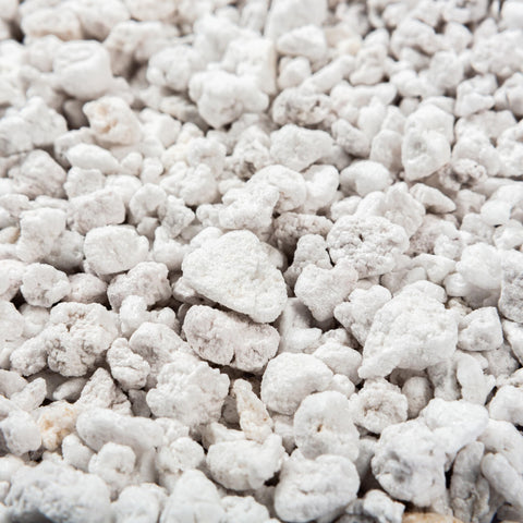 Bulk Perlite Bliss ready for bulk gardening orders and planting projects.