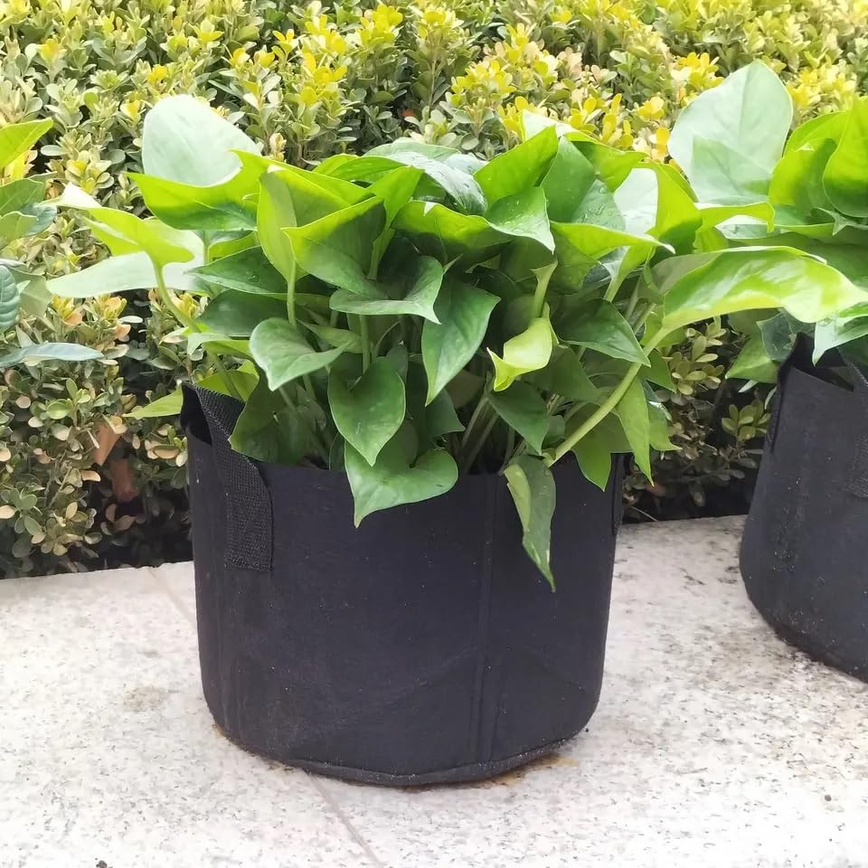 Plantonix seed starting kit suits indoor and outdoor seedling starts.