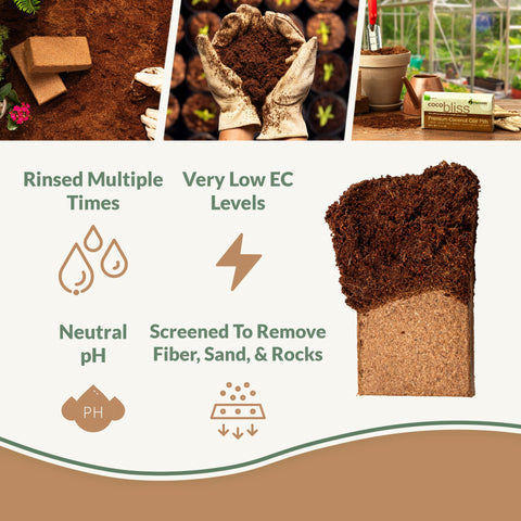Plantonix coco coir bricks expand to create a light, well-drained seed starter medium.