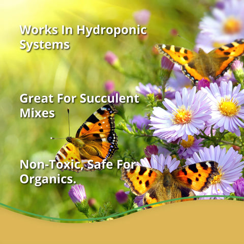Plantonix Vermiculite Bliss moisture-retention benefits in potting soil for indoor plants.