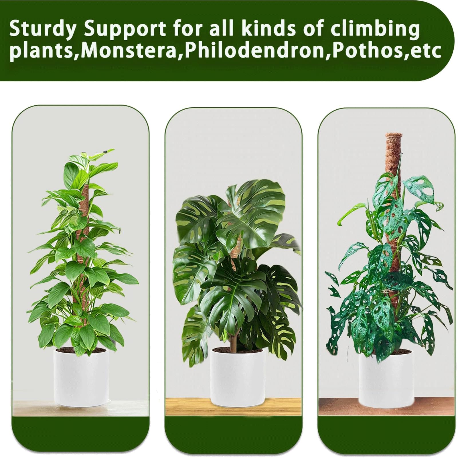 PLANTPOLEX expandable moss poles kit for flexible tall plant training