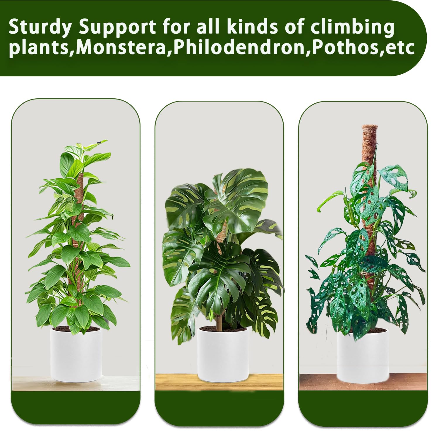 PLANTPOLEX indoor balcony setup with moss poles for climbing plants