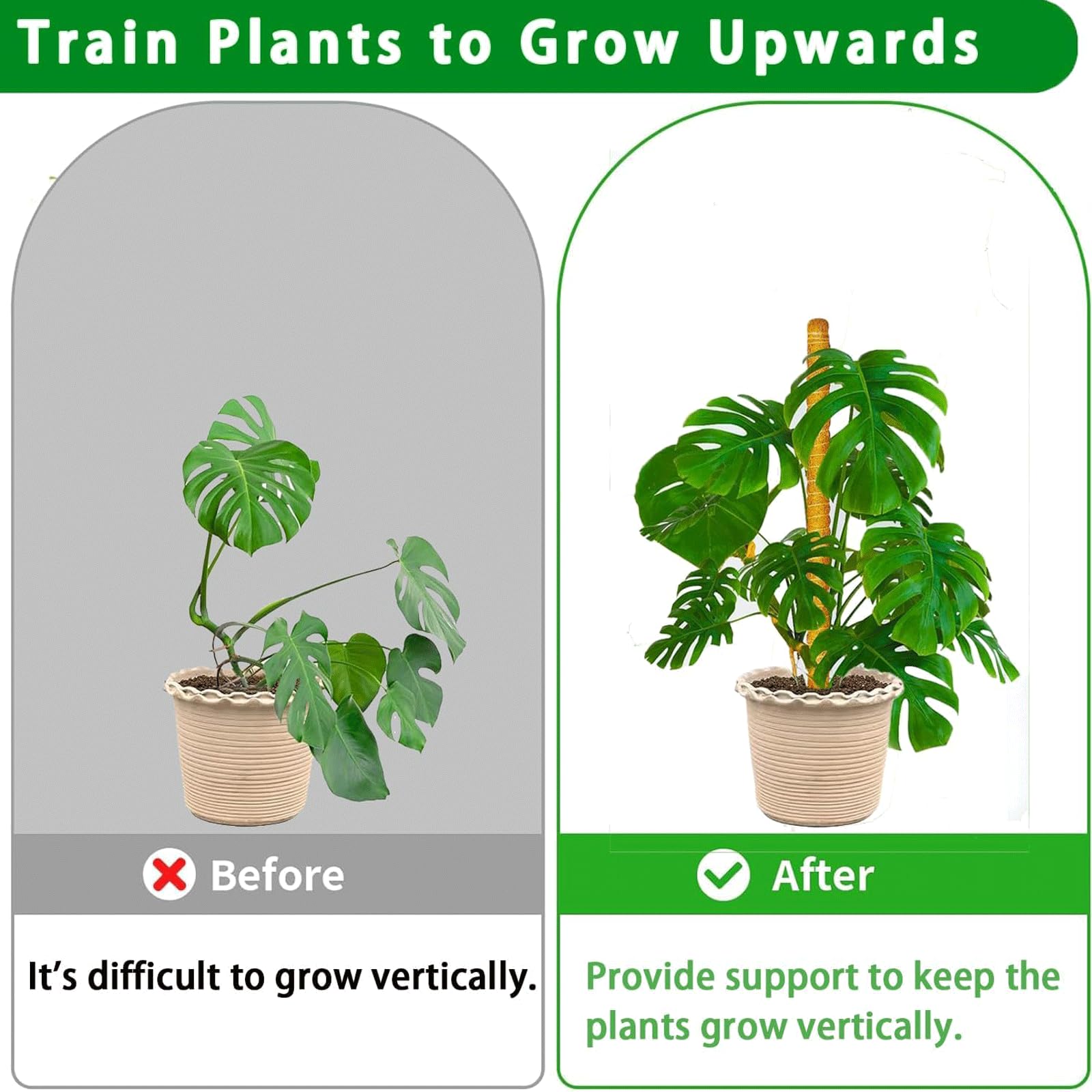 PLANTPOLEX indoor stakes with rope and Velcro for adjustable support
