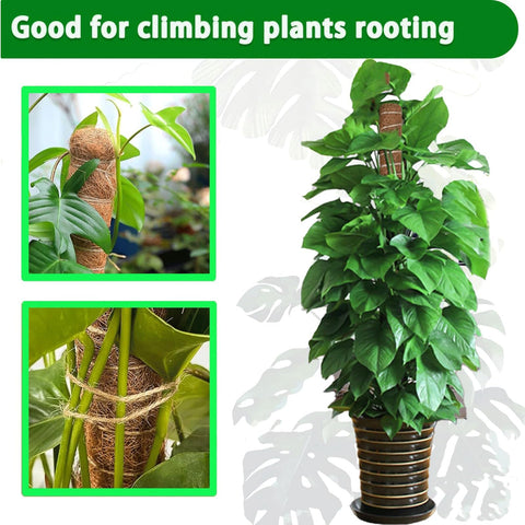 PLANTPOLEX natural coir moss pole, reusable and durable for balcony gardens