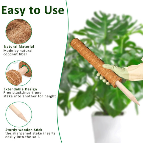 PLANTPOLEX stackable moss poles for Monstera, Pothos, Philodendron growth