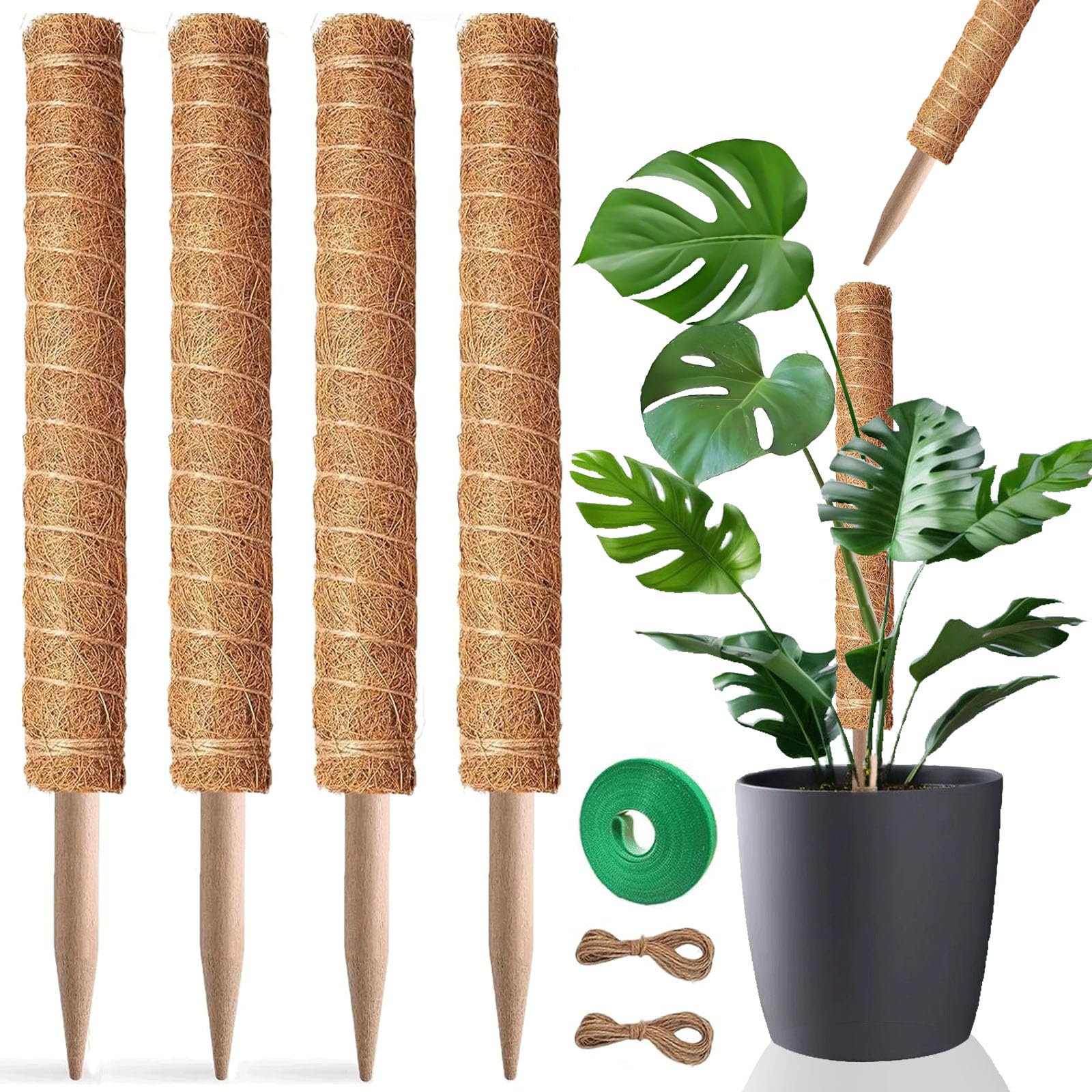 PLANTPOLEX 21-inch moss pole set supports indoor climbing plants.