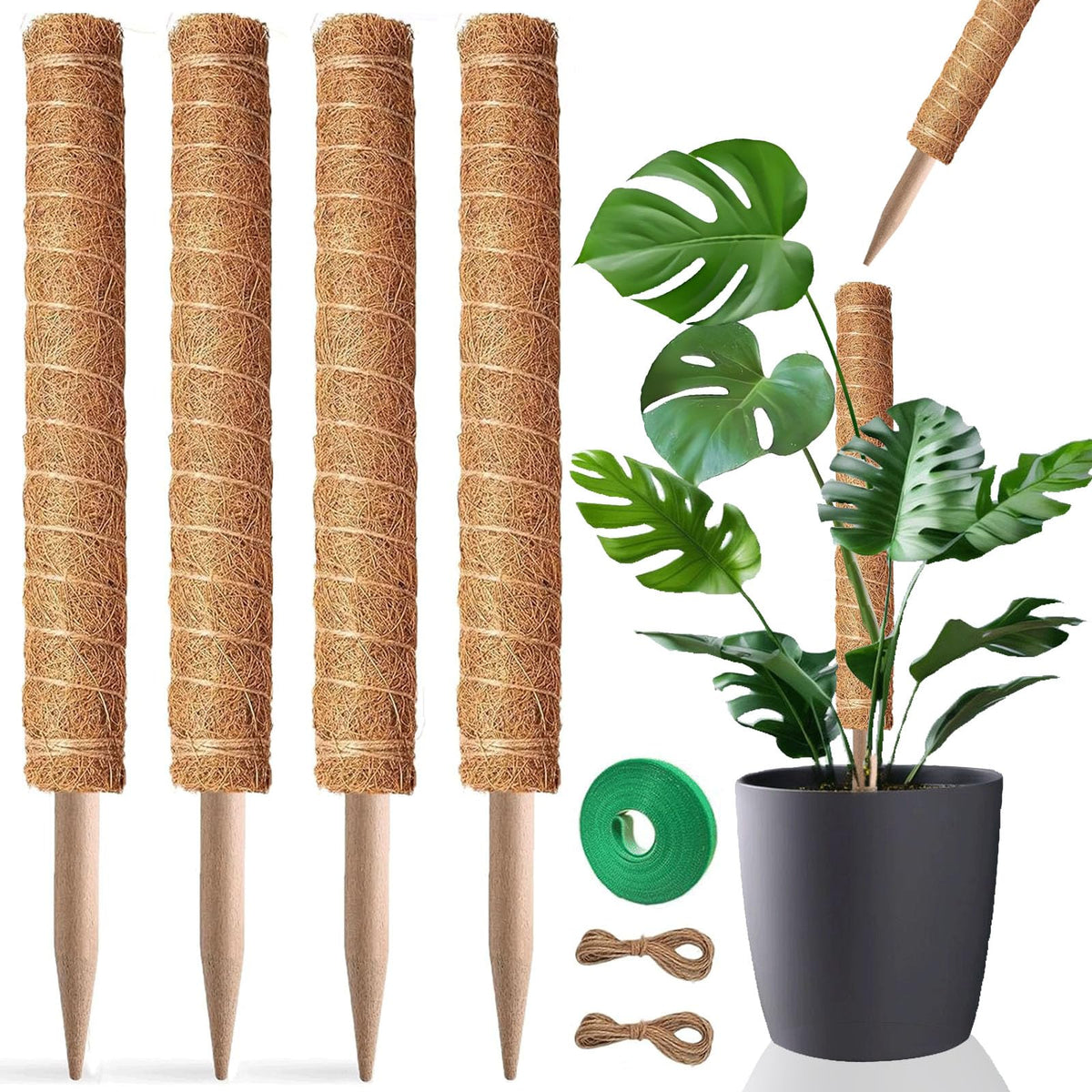 PLANTPOLEX 21-inch moss pole set supports indoor climbing plants.