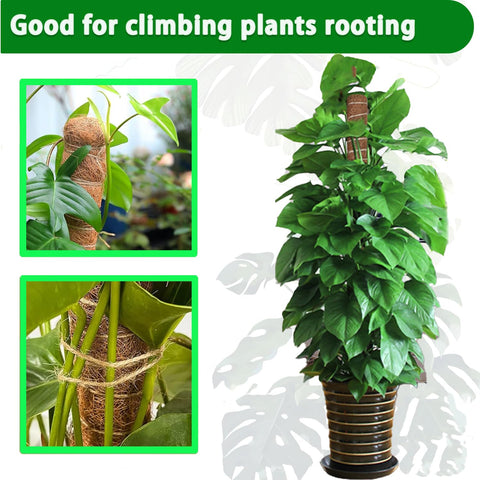 PLANTPOLEX stackable design demonstrated for taller climbing plants.