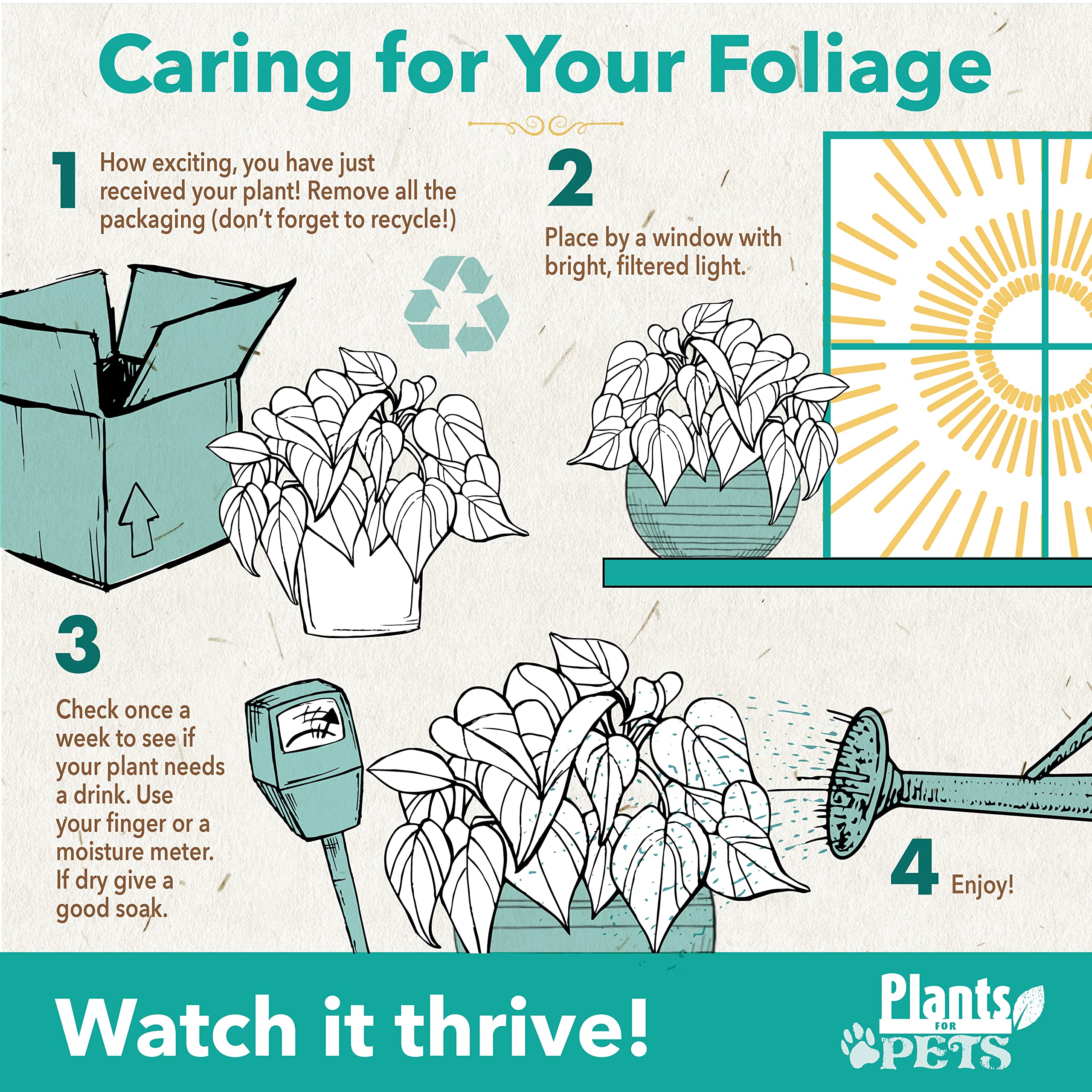 Plants for Pets easy-care plant with forgiving watering schedule.