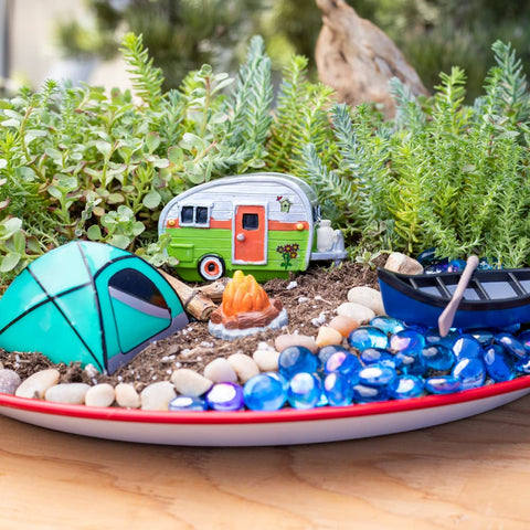 Plants for Pets indoor sedum tile display brings greenery indoors.