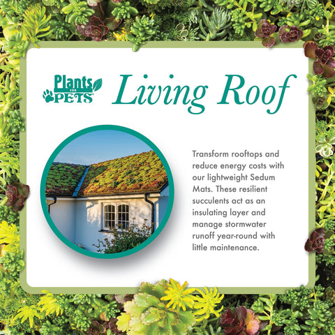 Plants for Pets vertical garden sedum tile for green roofs.