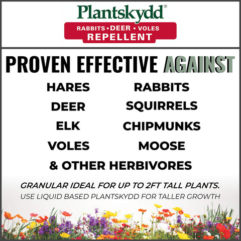 Plantskydd protects flowers and perennials during growing season.