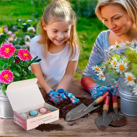 Plantutie hand rolled seed bombs in vibrant colors for quick planting.