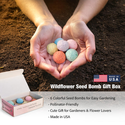 Plantutie pink seed ball showcased in garden display.