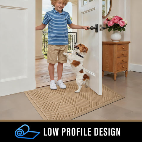 PLEASOR dirt-resistant mat with absorbent fibers to keep shoes dry and floors protected