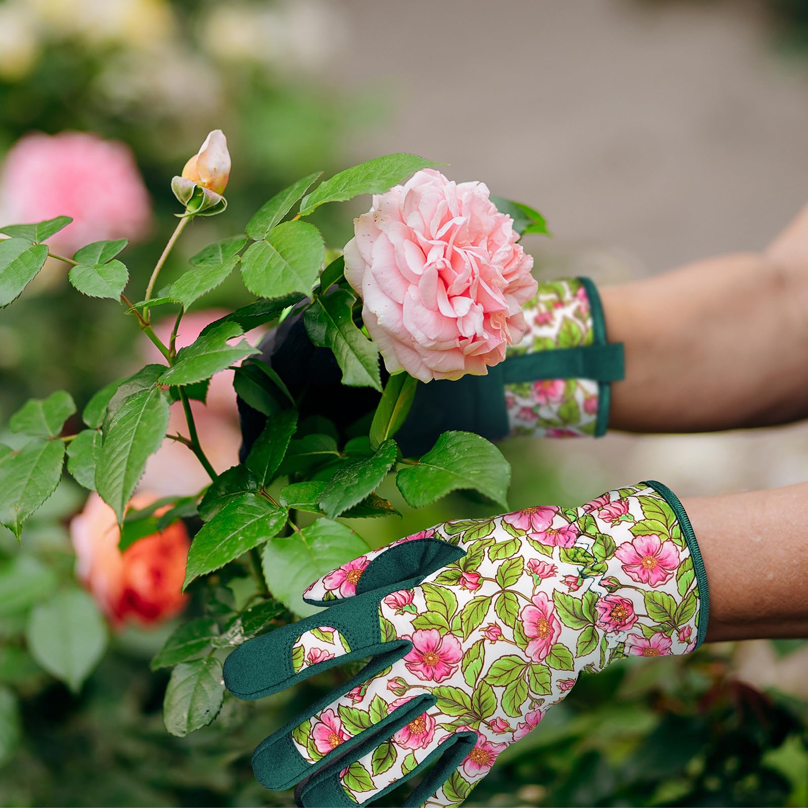 Pleneal gloves in garden use for pruning and planting.