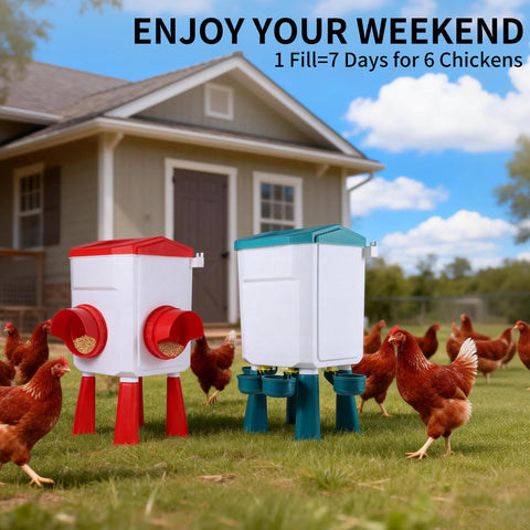PlentiVive 3-in-1 installation with adjustable legs demonstrates versatile coop placement.