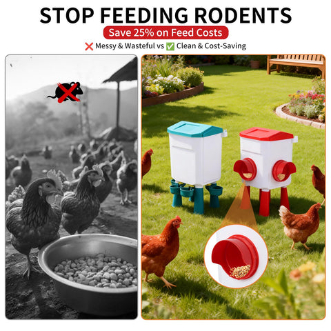PlentiVive no-waste port feeder with rain hood reduces ground mess in coop.