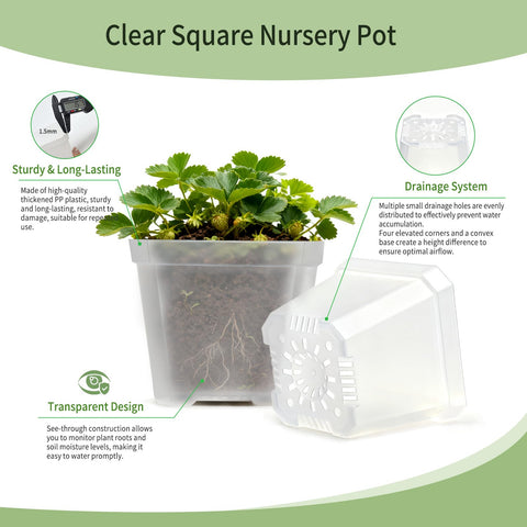 Plgardpo square pot with drainage holes promoting healthy root air circulation