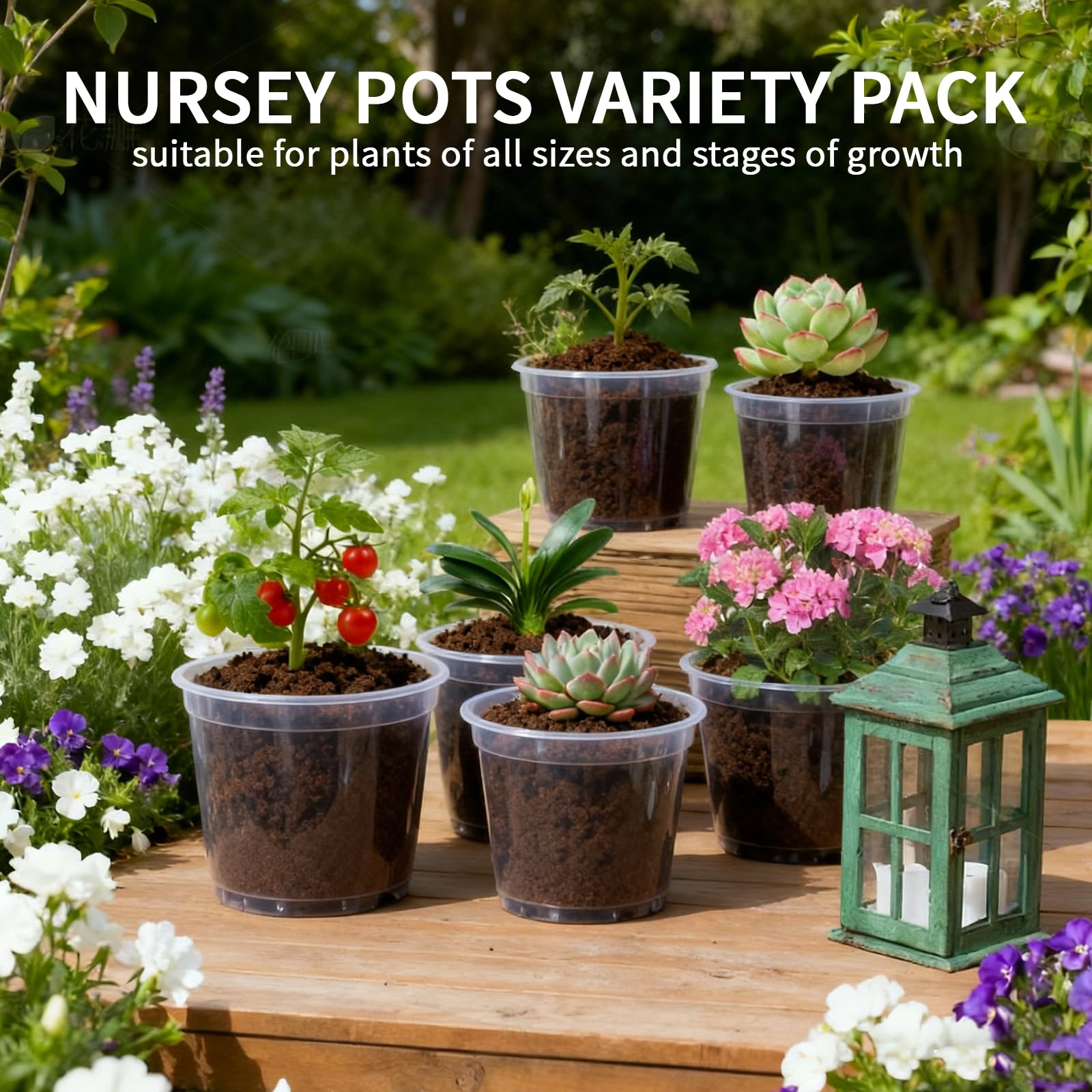 Plgardpo clear nursery pot 5-inch for easy root visibility.