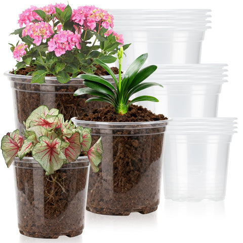 Plgardpo clear nursery pot 5in front view with drainage holes for seedlings