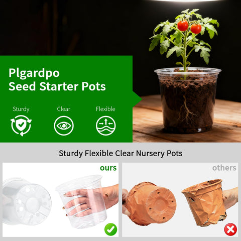 Plgardpo clear nursery pot 7in top view highlighting visible roots and easy monitoring