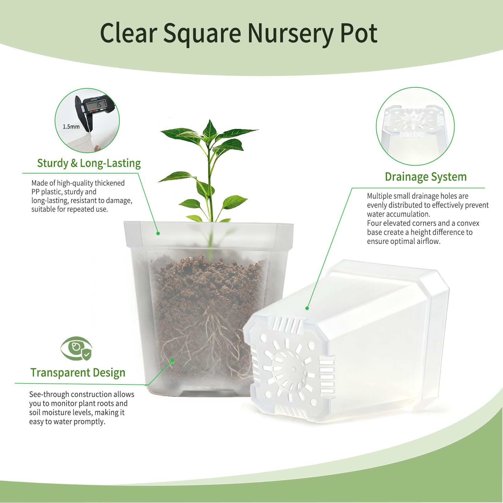 Plgardpo clear nursery pot side view shows square form for space-saving arrangement.