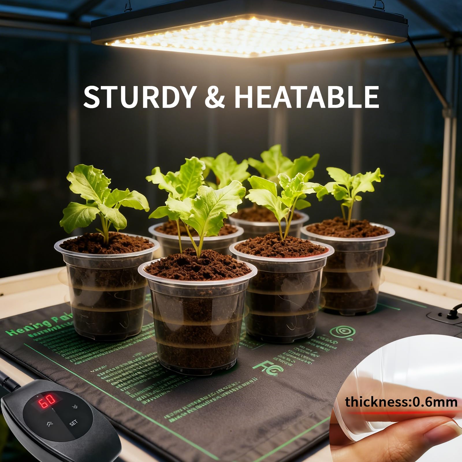 Plgardpo clear pot with drainage holes supports controlled watering.