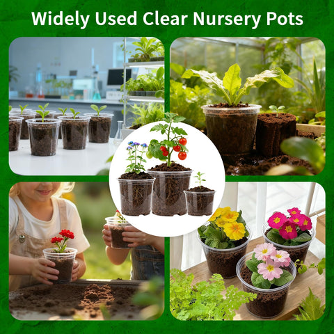 Plgardpo indoor-outdoor plant pots are lightweight and reusable.