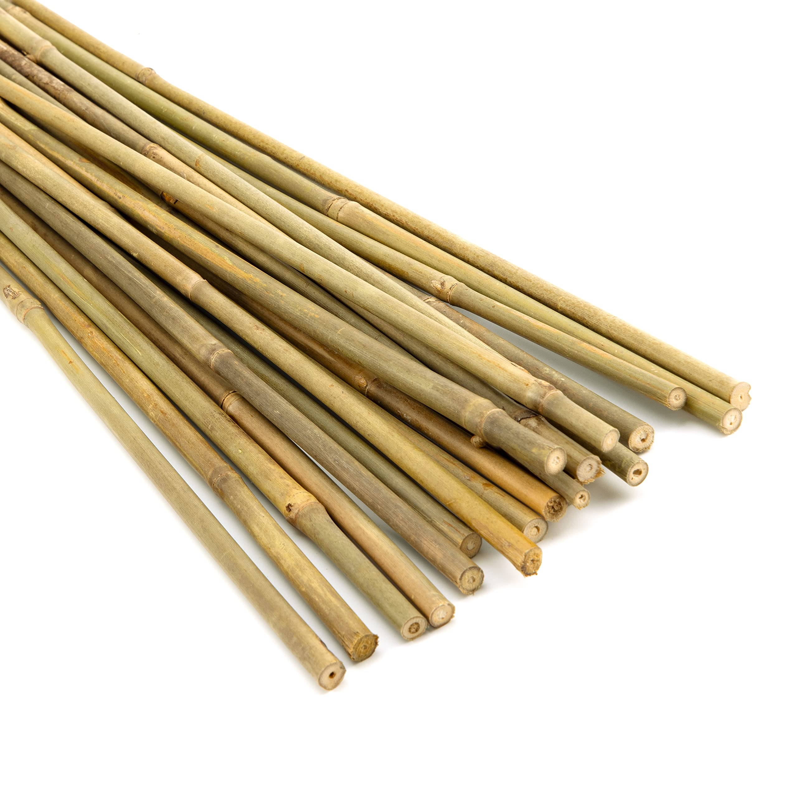 Pllieay 18-inch bamboo stakes set for versatile plant training