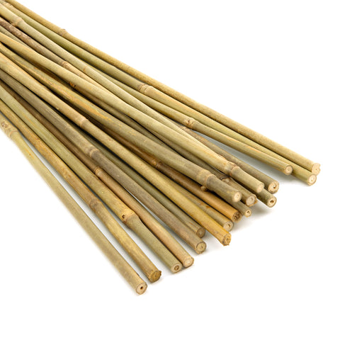 Pllieay 18-inch bamboo stakes set for versatile plant training