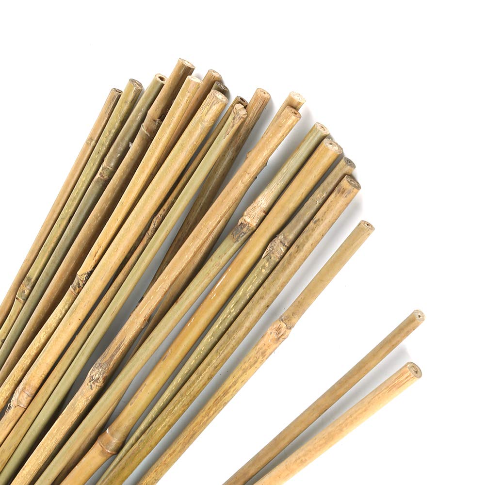 Pllieay bamboo-stakes-16inch-pack providing sturdy support for potted plants.