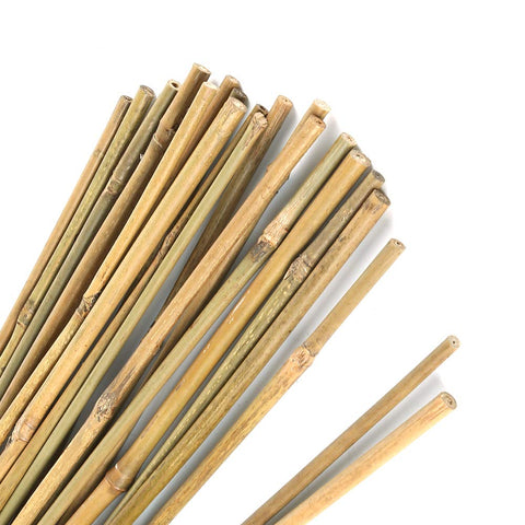 Pllieay bamboo-stakes-16inch-pack providing sturdy support for potted plants.