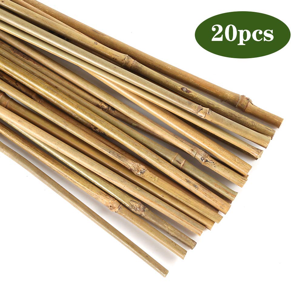 Pllieay garden-stakes-bamboo-16inch: versatile stake for vines, beans, and flowering plants.