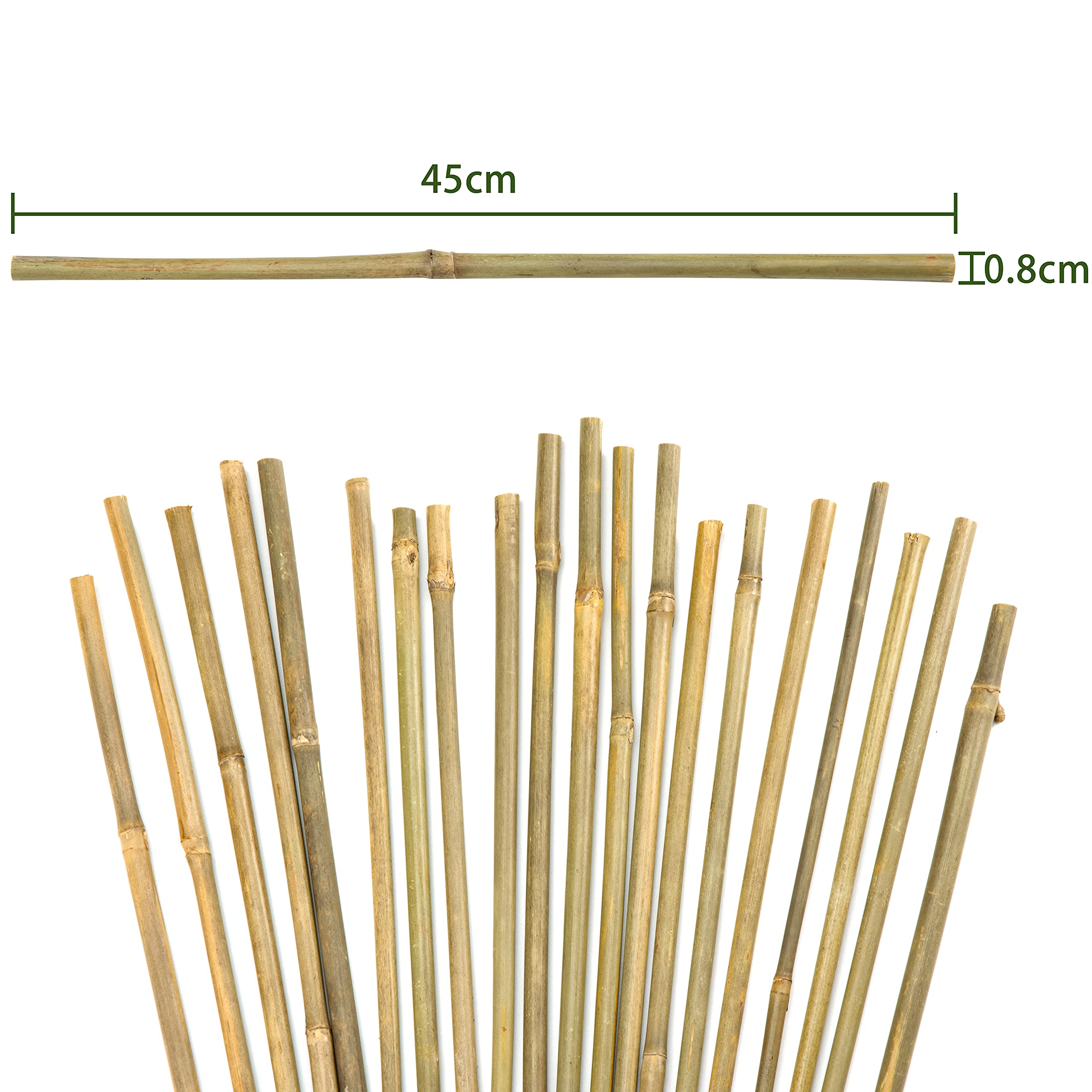 Pllieay natural bamboo plant stake for eco-friendly support indoors and outdoors