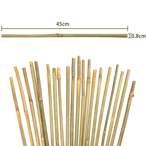 Pllieay natural bamboo plant stake for eco-friendly support indoors and outdoors