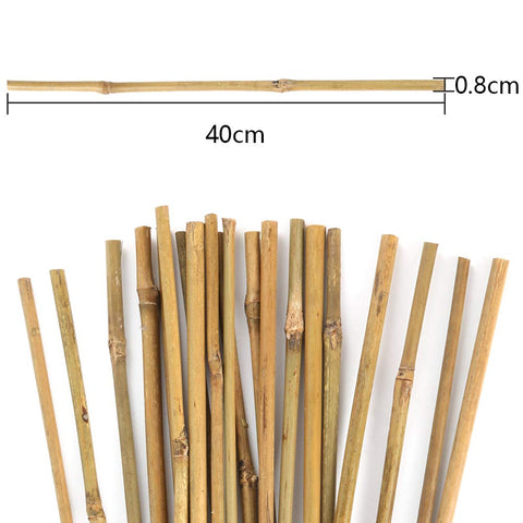 Pllieay plant-stake-bamboo-16inch: ideal for indoor greenery and small tomato plants.