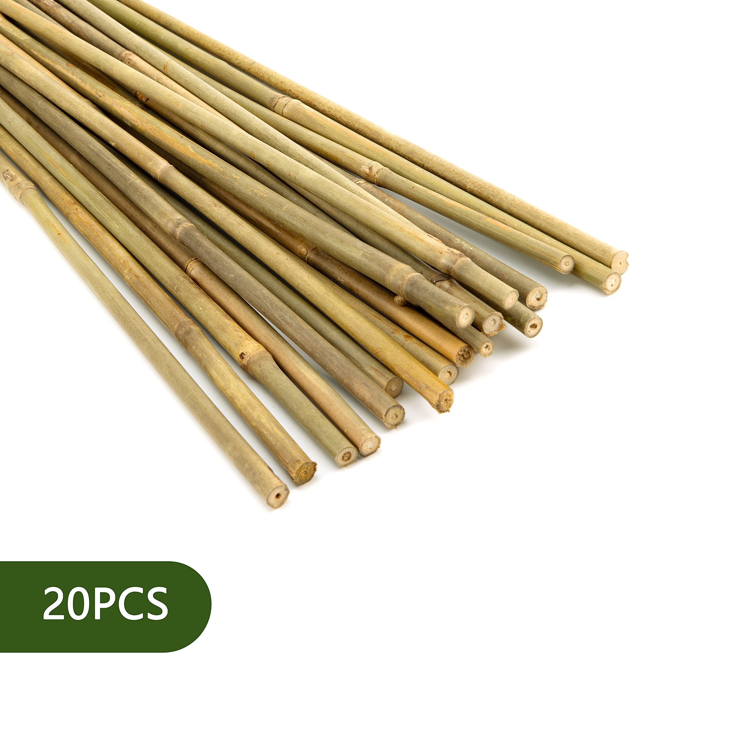 Pllieay tomato-support bamboo stake keeps vines tidy and supported