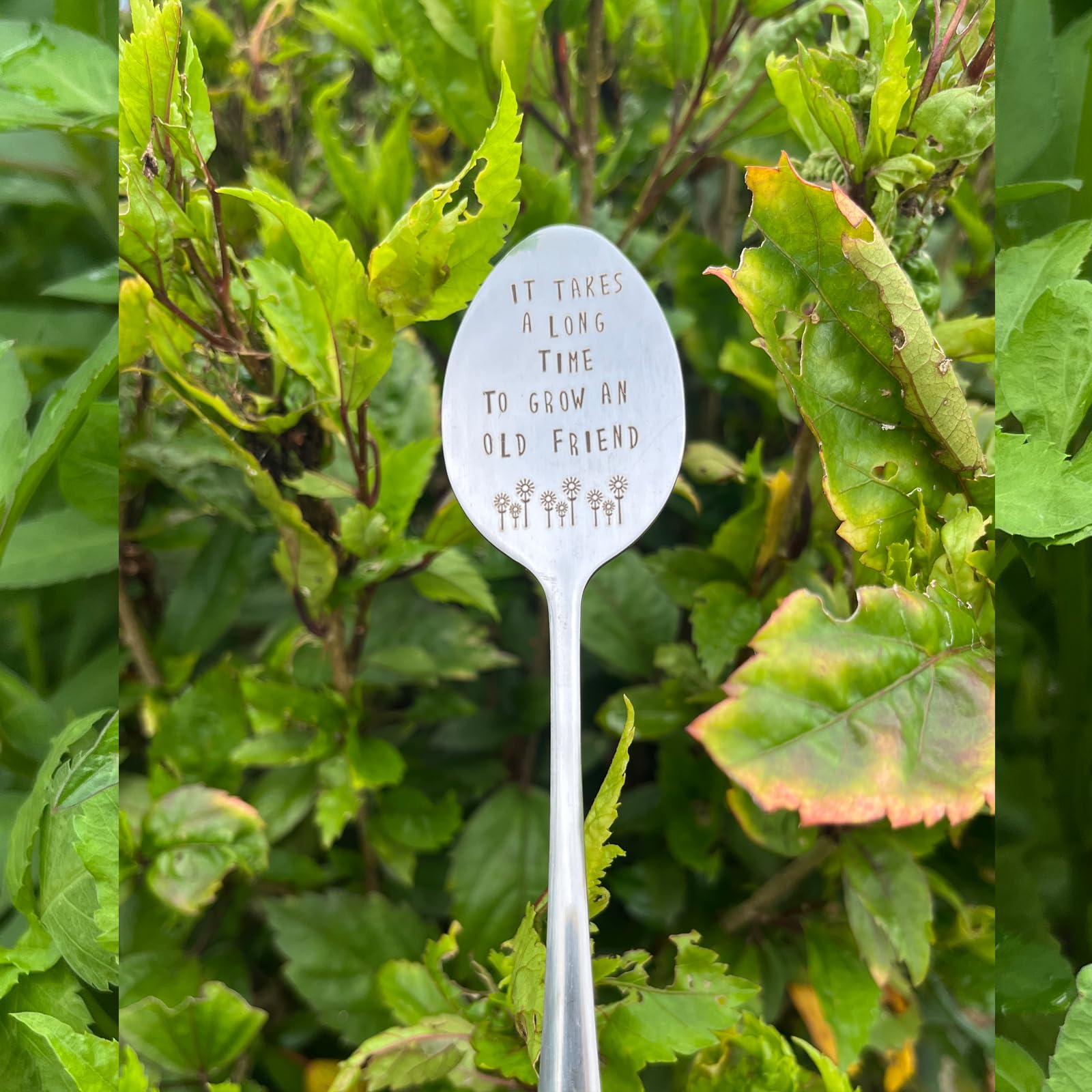 PLWalker garden gift for women ideal for plant lovers