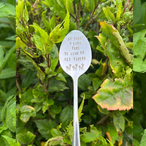 PLWalker garden gift for women ideal for plant lovers
