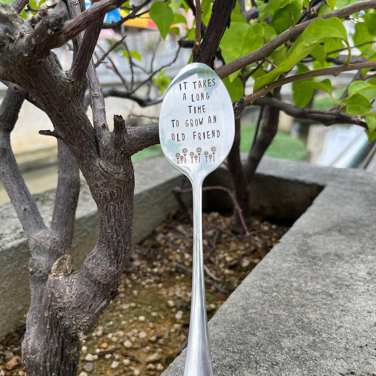 PLWalker women's garden gift idea blends practicality with style