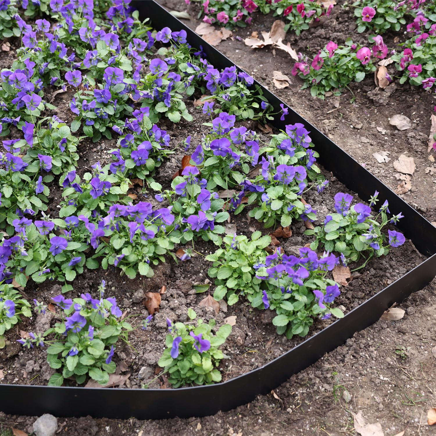 Pmango no-dig design slices into soil for stable borders.