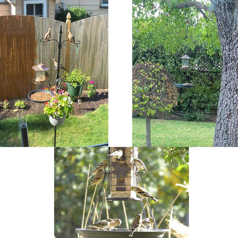 Pmsanzay catches seeds before reaching ground, reducing yard waste.