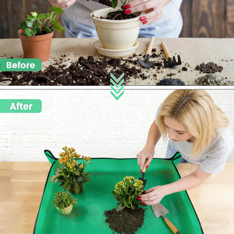 PNEIOLV tall-stem support ideal for monstera and pothos.