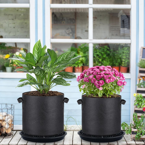 POILKMNI elevated water plate keeps fabric pots off the ground to prevent overflow.