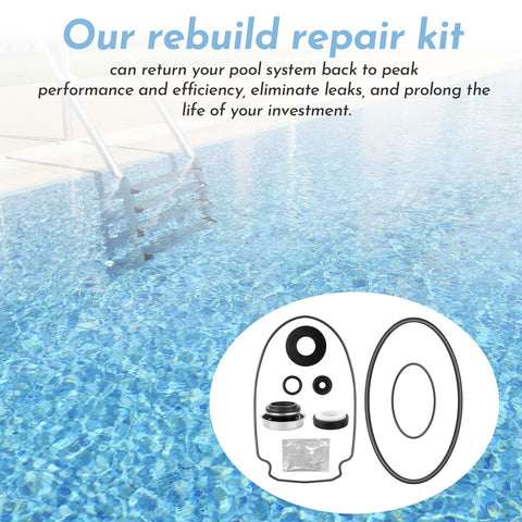 Pokin O-Ring Rebuild Kit PS-1000 shaft seal protects pump from leaks.