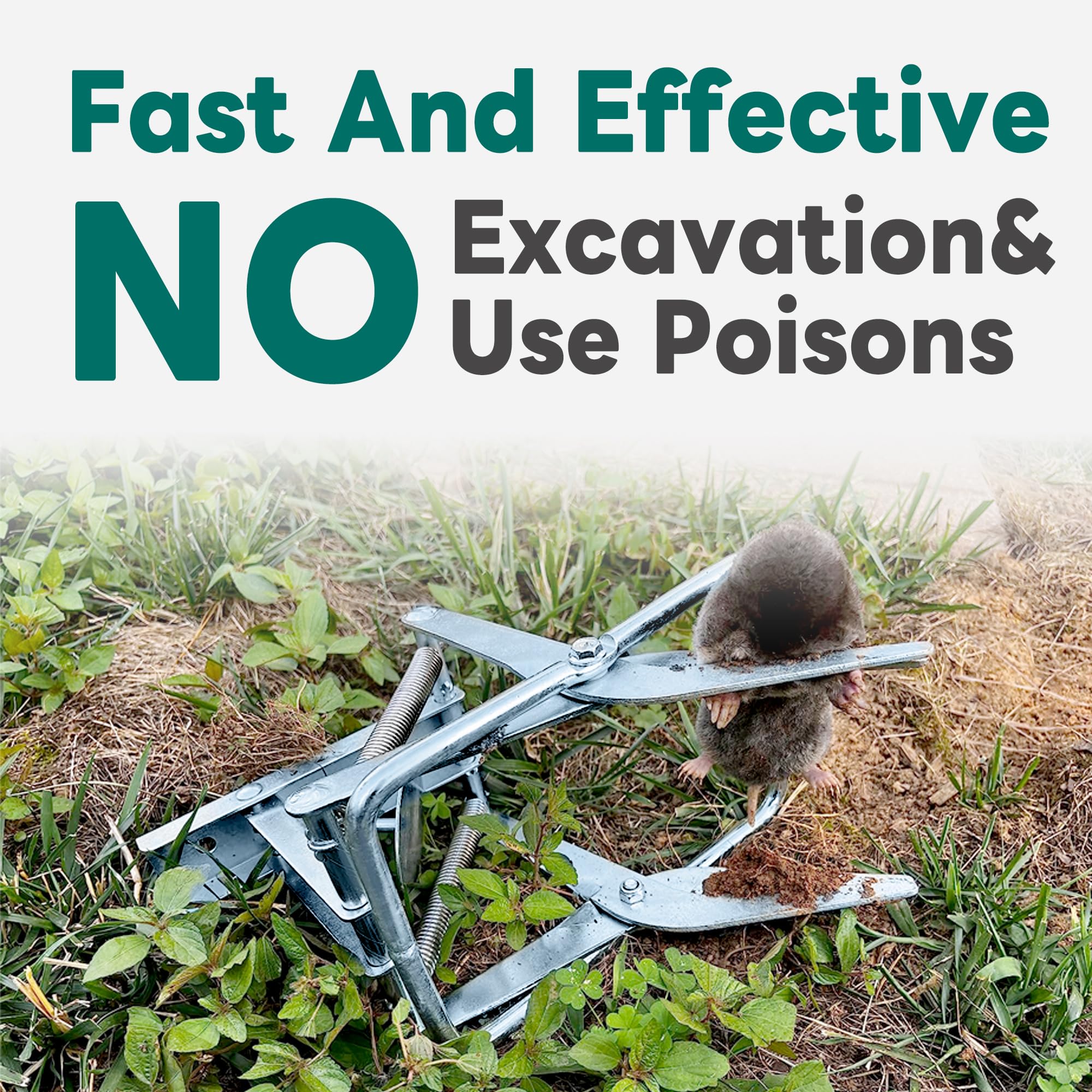 POlAFLEX mole trap installed in tunnel demonstrates simple setup
