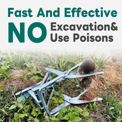 POlAFLEX mole trap installed in tunnel demonstrates simple setup